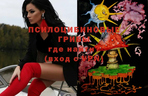 крисы Пересвет