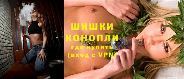крисы Пересвет
