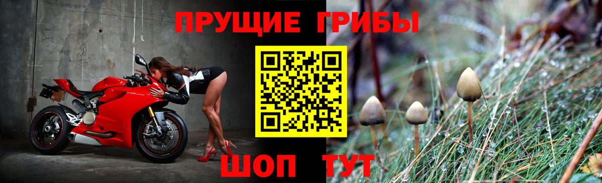 Галлюциногенные грибы мицелий Махачкала